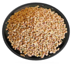Why diabetics should consume fenugreek seeds (India)