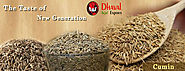 Cumin Seeds India – Treats Everything Except Death!