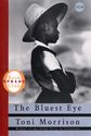 The Power of Teaching The Bluest Eye, by Marni Spitz