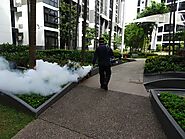 Why Should You Hire a Commercial Mosquito Control Service Singapore?