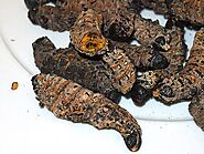 Mopane Worms