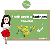 8 health benefits of helichrysum (Immortal) - 🌺 🌿 Maroc Organic