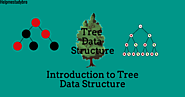 Want to learn types of trees in Data Structure?