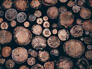 South Wales Timber Supplies | Timber Merchants in Cardiff, Swansea