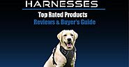 Best Dog Harnesses Reviews