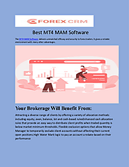 Best MT4 MAM Software