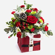 Choose Dublin Florist for Christmas Flower Delivery This Year | by Olivia Nisbet | Oct, 2021 | Medium