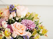 Where Can You Find Flowers For All Occasions In Dublin? – Site Title