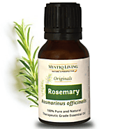 Rosemary Essential Oil | Pure And Natural Oil for hair Growth, Pain Reliever