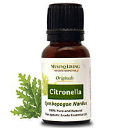 Steam Distilled Citronella Essential Oil | Yellowish Brown Citronella Oil – Mystiq Living