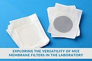 Filtering Out the Best: Exploring the Versatility of MCE Membrane Filters in the Laboratory | TheAmberPost