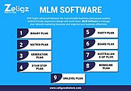 What is the MLM software exactly?