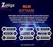 MLM software