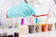 North America GMO Testing Market Size, Share, Trend and Forecast 2024 | TechSci Research