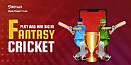 Play and Win Big in Fantasy Cricket | by Royal Marketing | Sep, 2021 | Medium