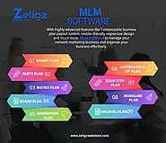 Features of MLM Software