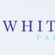 White Rose Painting Limited, Auckland | Spoke