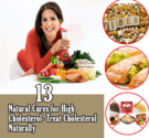 13 Effective Natural Cures for High Cholesterol - Treat Cholesterol Naturally