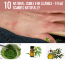 10 Effective Natural Cures for Scabies - Treat Scabies Naturally