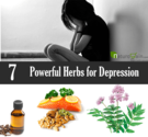 7 Powerful Herbs for Depression - Treat Depression Naturally