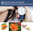 Natural Herbs for High Blood Pressure - 9 Effective Herbs for High BP