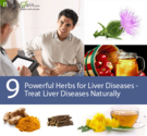 9 Powerful Herbs for Liver Diseases - Treat Liver Diseases Naturally