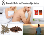 8 Powerful Herbs for Premature Ejaculation - Treat PE Naturally