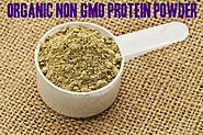 Top 10 Best Organic Non GMO Protein Powder Reviews