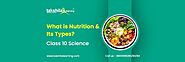 What is Nutrition Class 10 & Its Types? Life Processes Class 10 Biology Science