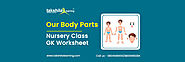 Parts of the Body for Kids - LKG/UKG/Nursery Class Worksheet