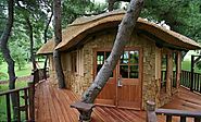 Luxury Tree House Designs Ideas
