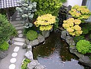 Attract Children with Japanese Pond Garden Design