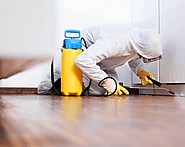 PEST REMOVAL CORAL SPRINGS