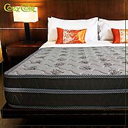 Know The Reasons Why You Have To Buy Coir Foam Mattress Online To Sleep
