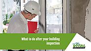What to do after your building inspection - Vital Building and Pest Inspections