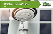Identifying Leaks in Wet Areas - Vital Building and Pest Inspections
