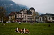 Switzerland Itineraries | Holidays, Maps and Guides of Switzerland lasting between 1 and 30 days | Tripoto