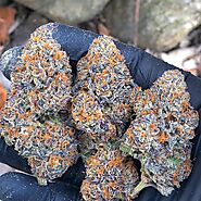 Purple kush at discount price today - purple kush | buy weed online europe delivery, buy weed online nb, buy weed onl...