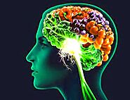 10 Best food to boost your Brain Power