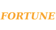 Fortuneteller Oracle - Your Source for Social Business and Networking