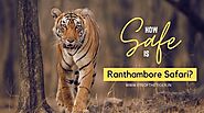 How Safe is Ranthambore Safari? | Eye Of The Tiger