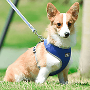 Dociote "Super Light" Small Dog Harness
