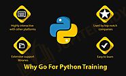 Top 10 Reasons Why You Should Learn Python in 2023