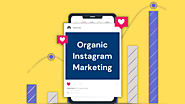 How to Build an Organic Instagram Marketing Strategy? - Marketing Digest