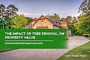 The Impact of Tree Removal on Property Value - Dave Lund Tree Service and Forestry Co Ltd.