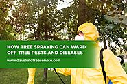 How Tree Spraying Can Ward off Tree Pests and Diseases - Dave Lund Tree Service and Forestry Co Ltd.