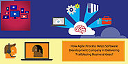 How Agile Process Helps Software Development Company In Delivering Trailblazing Business Ideas?