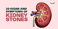 10 Signs And Symptoms Of Kidney Stones  | Shuddhi Ayurveda