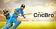 Know About Strategy Related To Stake Odds By Mobile Cricbro