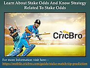 Learn About Stake Odds And Know Strategy Related To Stake Odds
